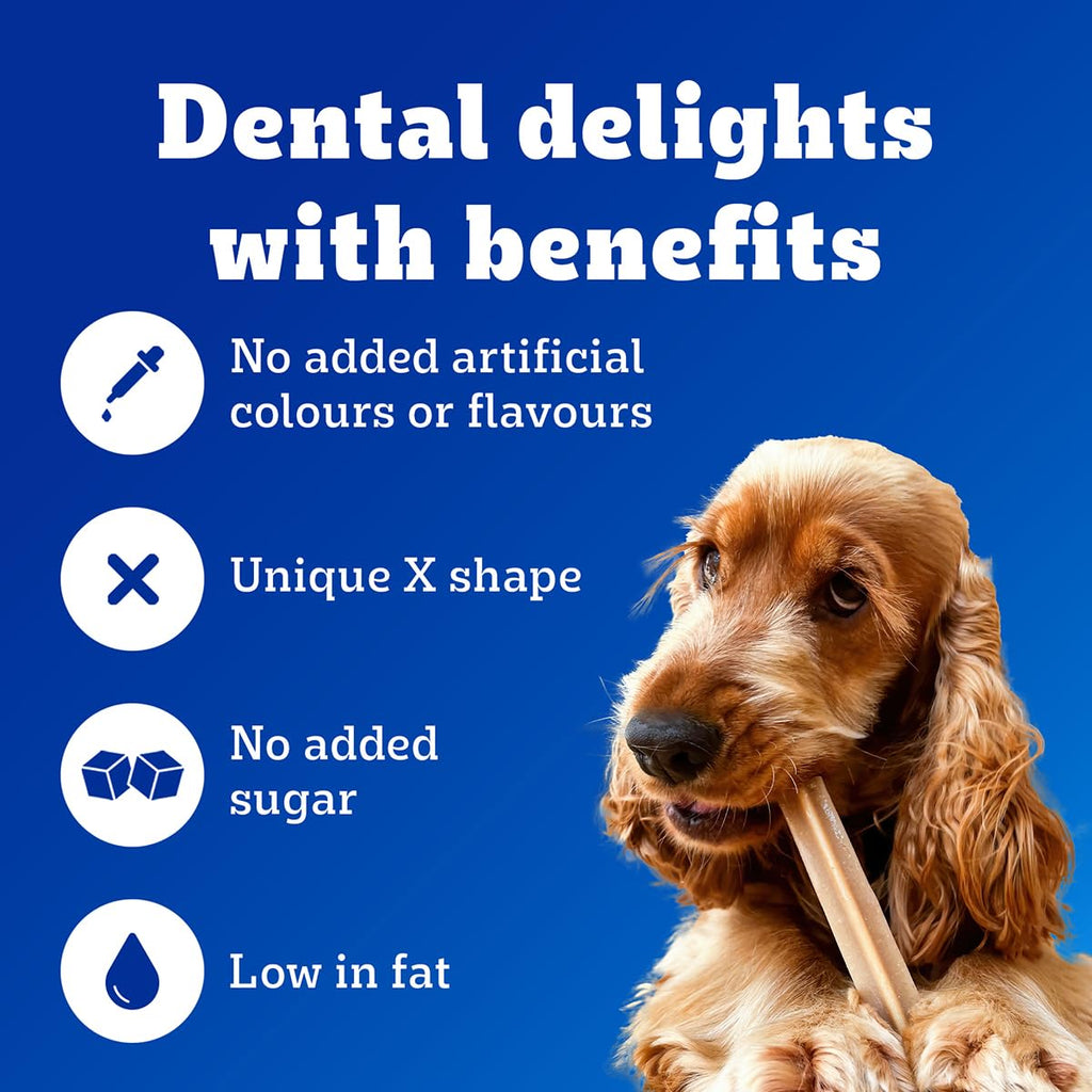 Pedigree Dentastix Oral Care Dog Treat, Adult Large Breed (25+ kg), 1.08 kg, Recommended by Vets, Supports Gum Health, Reduces Risk of Gum diseases