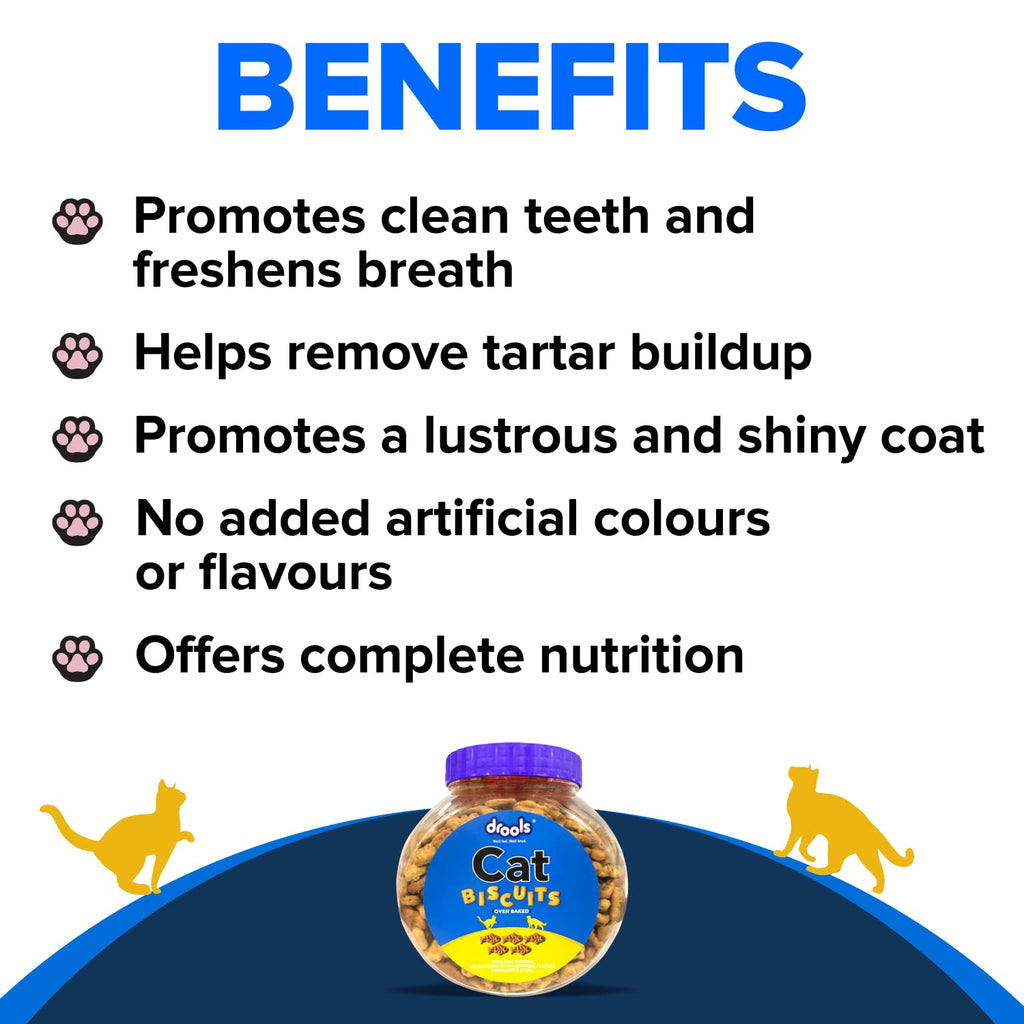 Drools Adult Cat Treat Biscuits 400g Jar | Real Chicken Flavour | Encourages Activity | Supports Oral Health | Training & Discipline