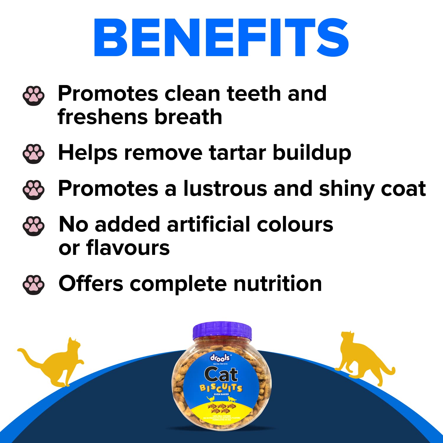 Drools Adult Cat Treat Biscuits 400g Jar | Real Chicken Flavour | Encourages Activity | Supports Oral Health | Training & Discipline