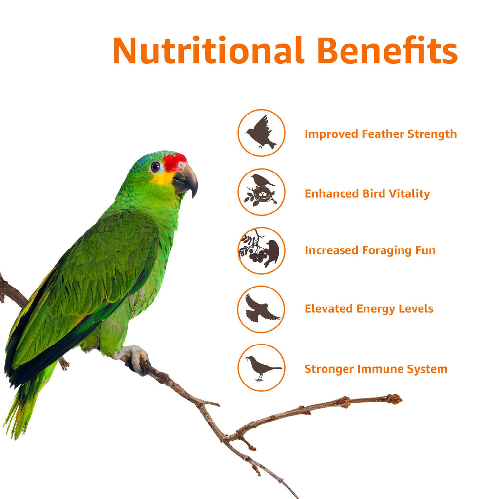 Amazon Basics Mix Seed Bird Food for Parrots, African Grey Parrot, Sun Conure, Macaw, Lovebird & Alexander | Bird Food for All Life Stages (1 kg)