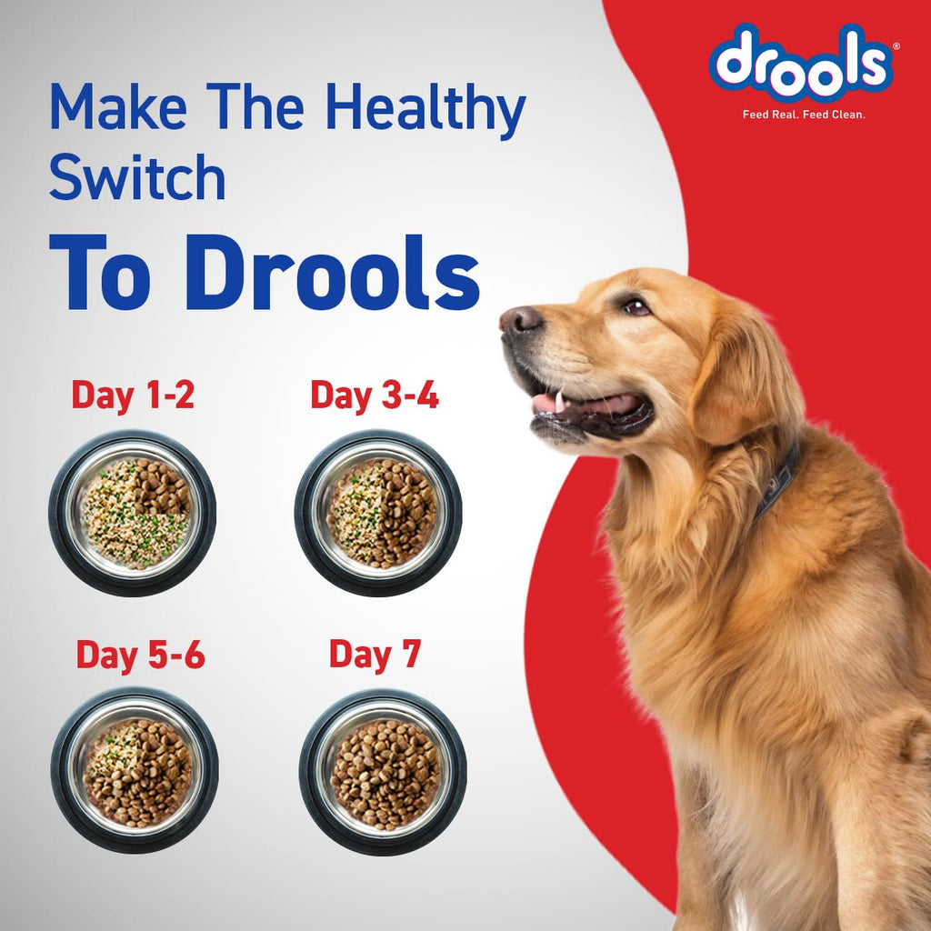 Drools Adult Dry Dog Food 10kg | Chicken Flavour | Optimum Protein & Energy Ratio | High-Grade Protein with Vitamins & Minerals | Easily Digestible for Optimum Performance