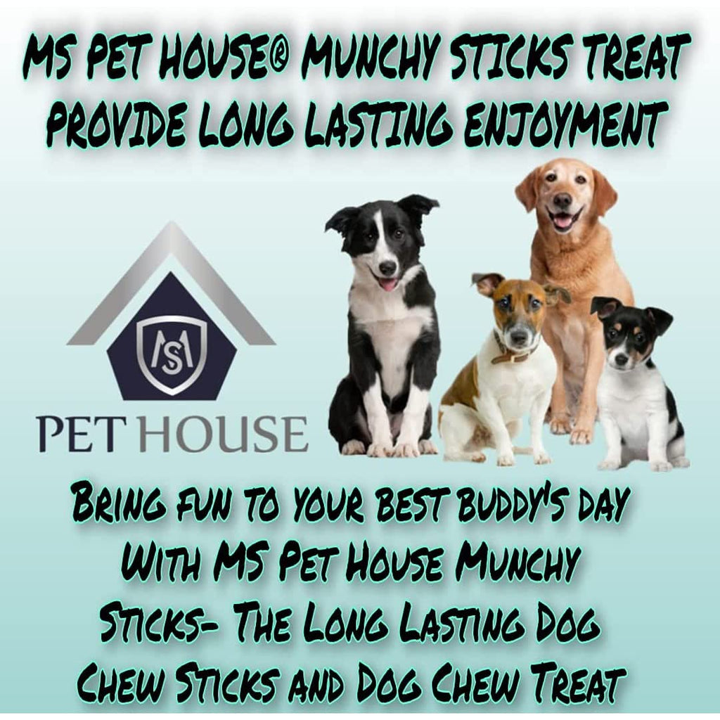 MS PET HOUSE Dog Chew Sticks Munchy Stick Mix Flavours 900 Gram Dogs Snacks, Treats (450G Chicken Flavor and 450G Mutton Flavor Pack of 1), All Life Stages