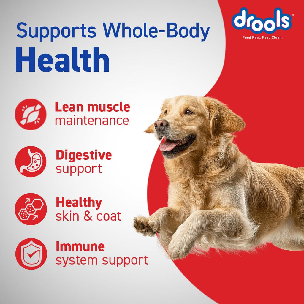 Drools Adult Dry Dog Food 4.2kg (3kg + 1.2kg Free) | Chicken & Egg Flavour | Supports Active Behaviour | Digestive Health & Immunity | Better Digestibility