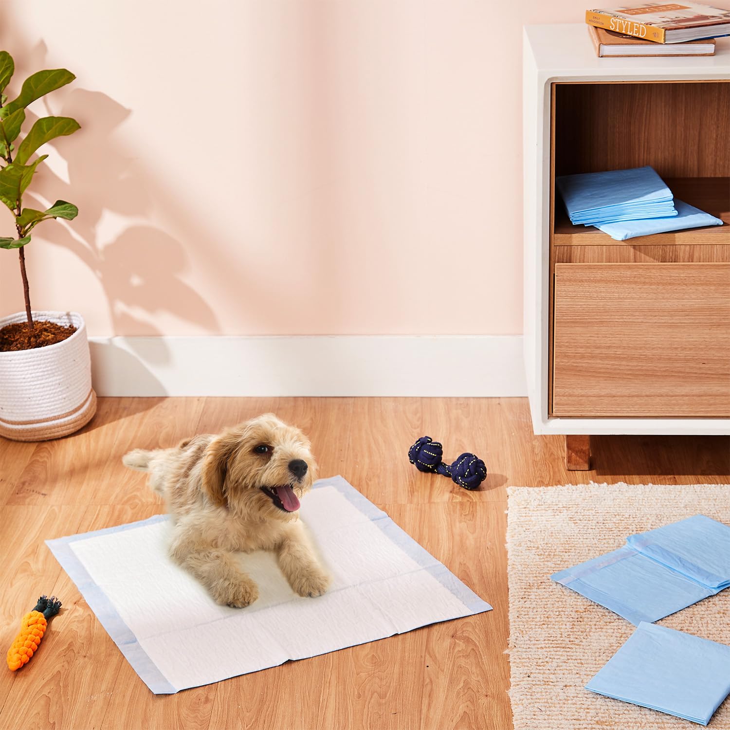 Amazon Basics Dog And Puppy Pee Pads | Pack Of 20 | 24 X 23 Inches | Leak-Proof, Quick-Dry Design For Potty Or Indoor Training | Heavy Duty Absorbency