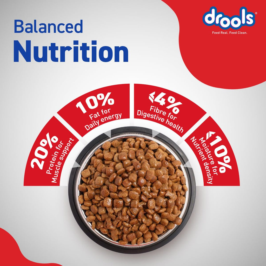 Drools Adult Dry Dog Food 4.2kg (3kg + 1.2kg Free) | Chicken & Egg Flavour | Supports Active Behaviour | Digestive Health & Immunity | Better Digestibility