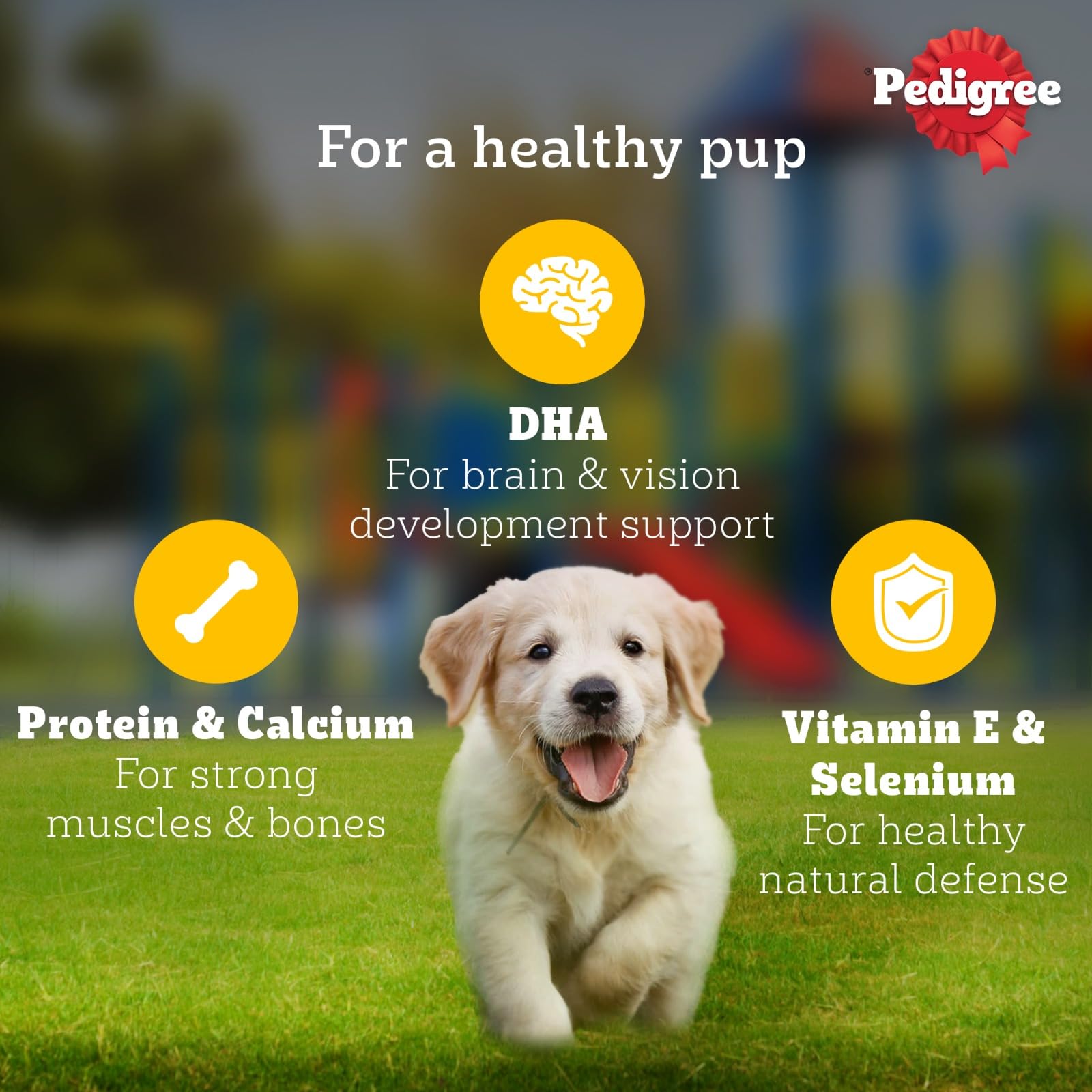 Pedigree Puppy Wet Dog Food, Chicken Chunks in Gravy, 130 g (Pack of 12), Complete & Balanced Meal for Puppies