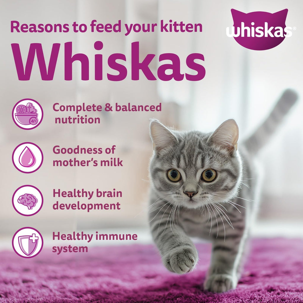 Whiskas Junior Mother Cat & Kitten (2-12 Months) Dry Cat Food, Ocean Fish Flavour, 1.1 kg, Contains 41 Essential Nutrients, Complete & Balanced Nutrition for Mother Cats & Kittens