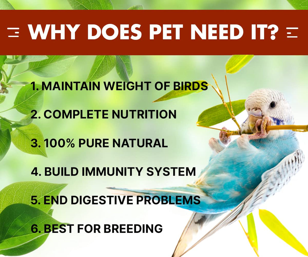 BOLTZ All Life Stages Bird Food for Budgies - Mix Seeds, Medium, 1200 g