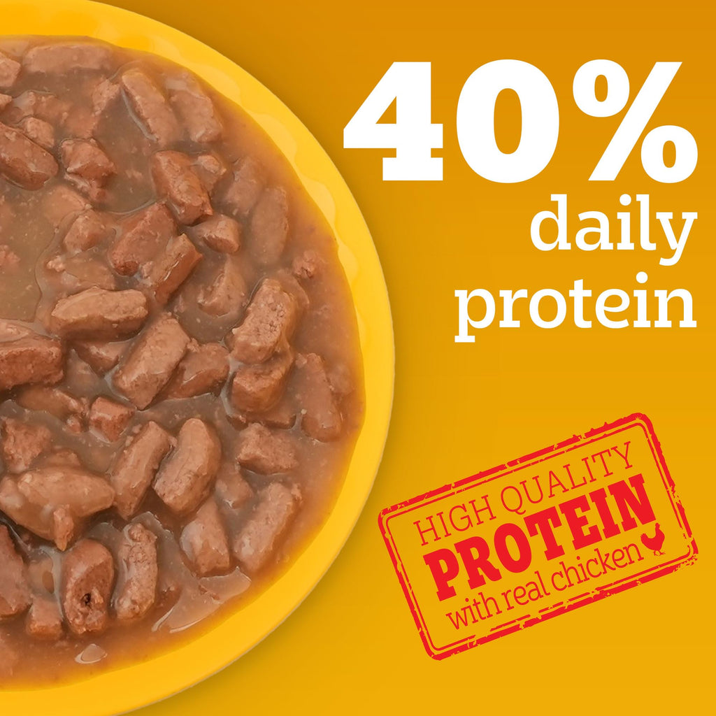 Pedigree Adult Wet Dog Food, Chicken & Liver Chunks in Gravy, 70 g (Pack of 15), Complete & Balanced Meal for Adult Dogs