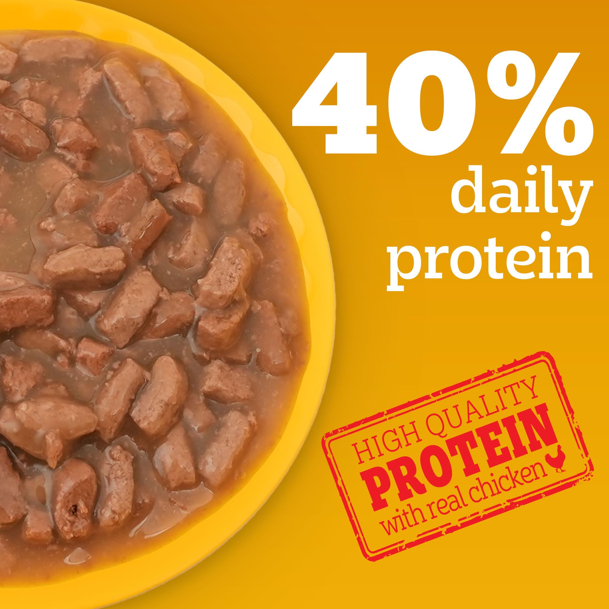 Pedigree Adult Wet Dog Food, Chicken & Liver Chunks in Gravy, 70 g (Pack of 15), Complete & Balanced Meal for Adult Dogs