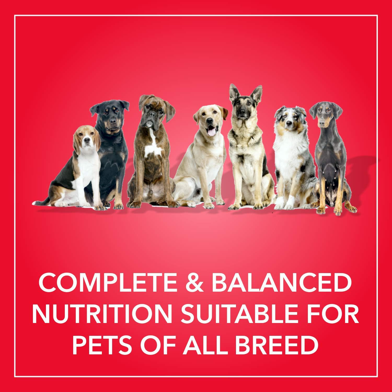 Purepet Adult Dry Dog Food 10kg | Meat & Rice Flavour | Promotes Health & Vitality | Immune Support | Healthy Digestion | Nutrient Rich