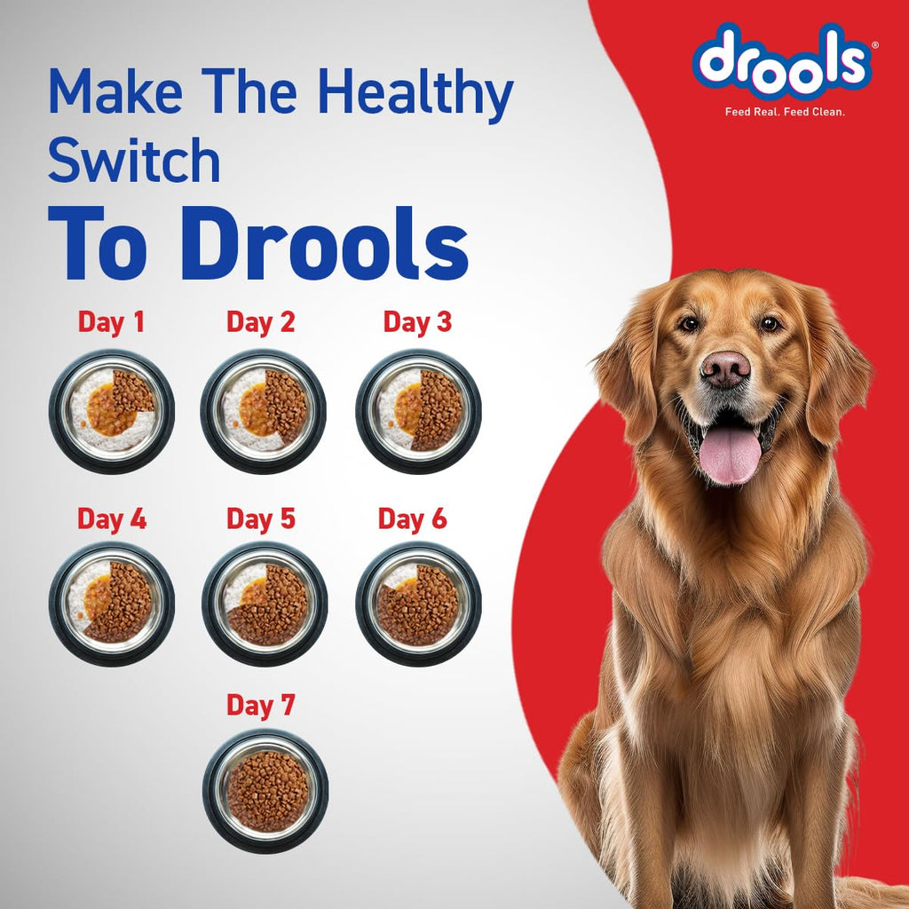 Drools Adult Dry Dog Food 4.2kg (3kg + 1.2kg Free) | Chicken & Egg Flavour | Supports Active Behaviour | Digestive Health & Immunity | Better Digestibility