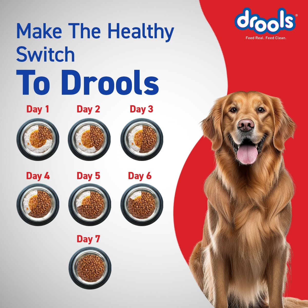 Drools Adult Dry Dog Food 4.2kg (3kg + 1.2kg Free) | Chicken & Egg Flavour | Supports Active Behaviour | Digestive Health & Immunity | Better Digestibility