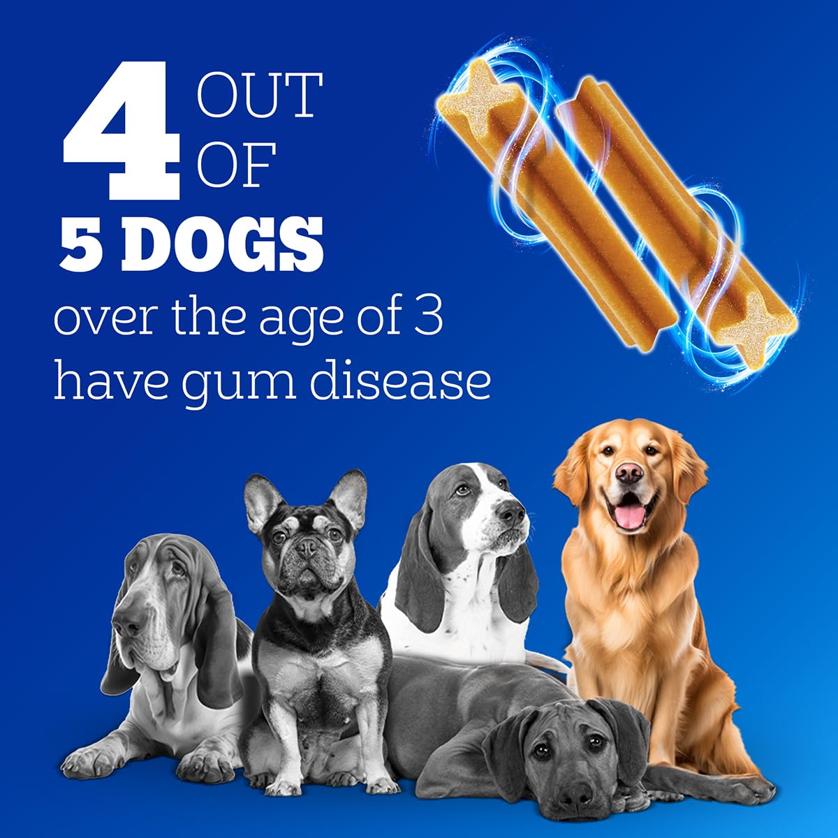 Pedigree Dentastix Oral Care Dog Treat, Adult Large Breed (25+ kg), 1.08 kg, Recommended by Vets, Supports Gum Health, Reduces Risk of Gum diseases