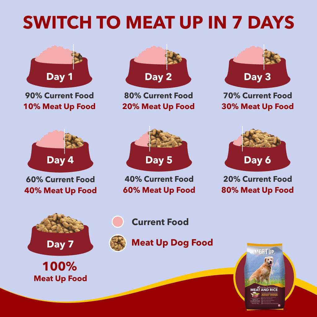 Meat Up Adult Dry Dog Food 20kg (10kg + 10kg) | Meat & Rice Flavor | Supports Healthy Skin & Coat | Enriched with Antioxidants, Vitamins and Minerals