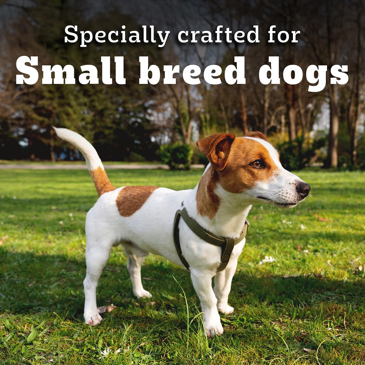 Pedigree PRO Adult Small Breed, 3 kg Dry Dog Food, Vet Trusted Brand, Expert Nutrition, Quality Protein, 33% More Nutrients (9 Months Onwards)