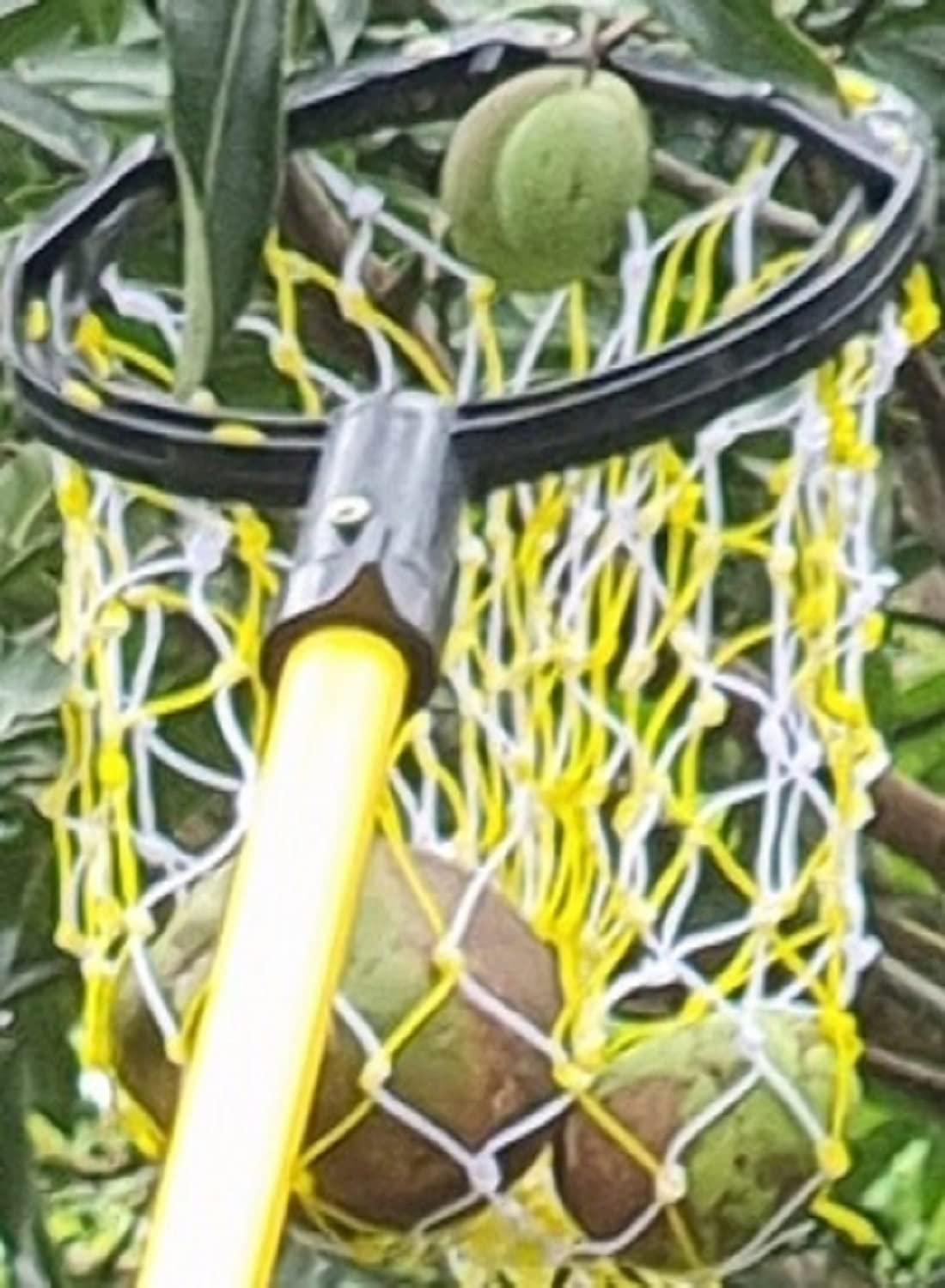 FESTEL Skytuch Shock Proof Multipurpose 8-to-24 Foot Extendable Telescopic Pole with (2 Attachments) Coconut Plucker, Mango Fruit Picker