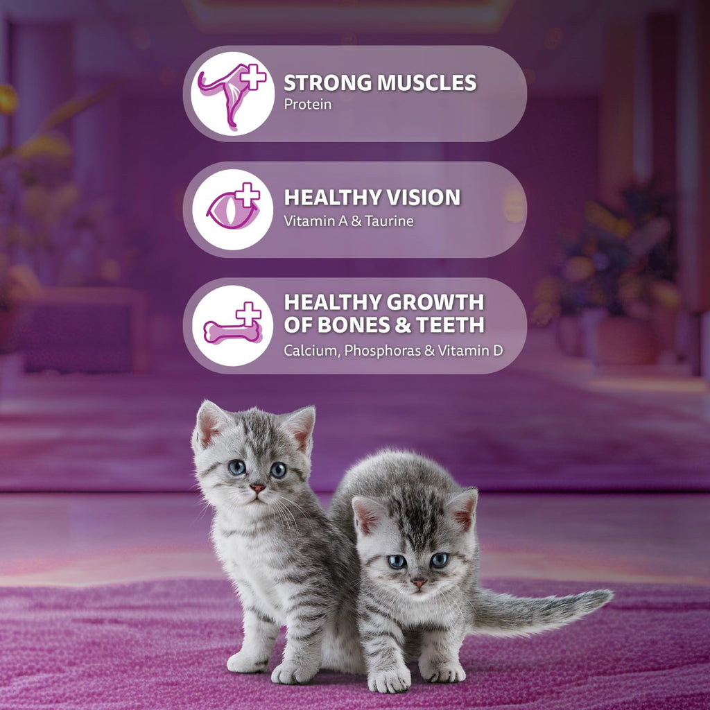 Whiskas Junior Mother Cat & Kitten (2-12 Months) Dry Cat Food, Ocean Fish Flavour, 1.1 kg, Contains 41 Essential Nutrients, Complete & Balanced Nutrition for Mother Cats & Kittens