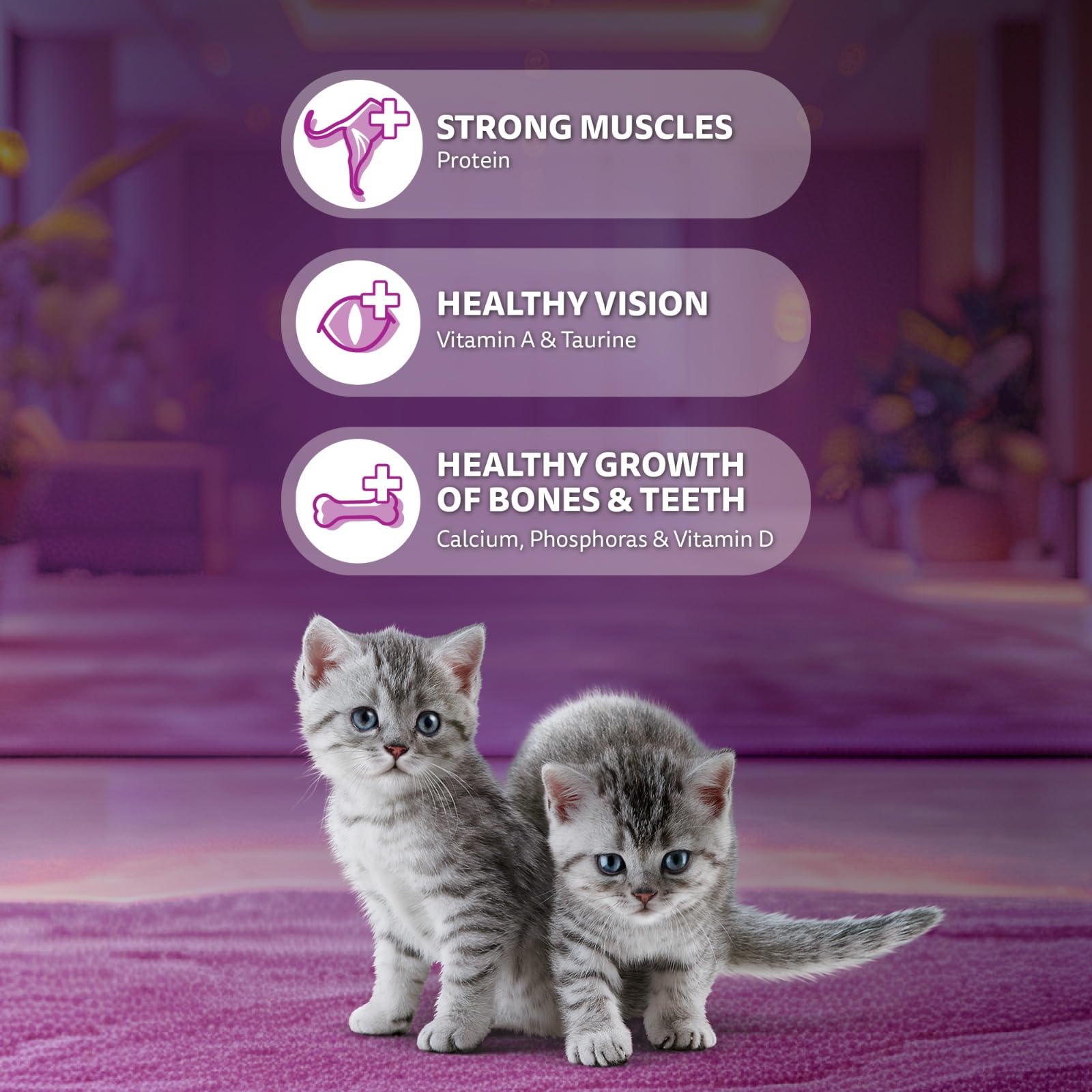 Whiskas Junior Mother Cat & Kitten (2-12 Months) Dry Cat Food, Ocean Fish Flavour, 1.1 kg, Contains 41 Essential Nutrients, Complete & Balanced Nutrition for Mother Cats & Kittens