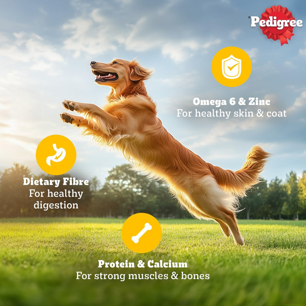 Pedigree Adult Wet Dog Food, Chicken & Liver Chunks in Gravy, 70 g (Pack of 15), Complete & Balanced Meal for Adult Dogs