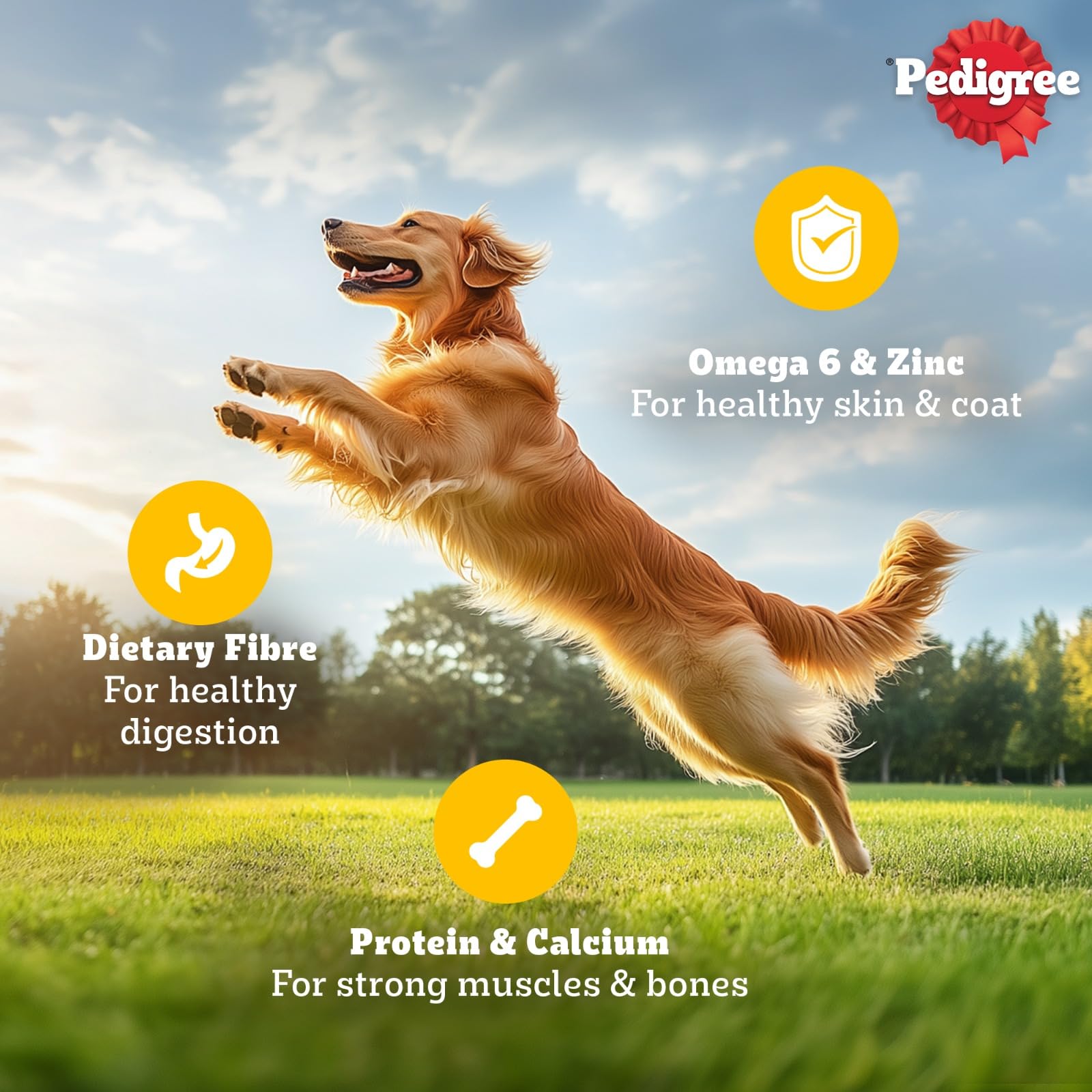 Pedigree Adult Wet Dog Food, Chicken & Liver Chunks in Gravy, 70 g (Pack of 15), Complete & Balanced Meal for Adult Dogs