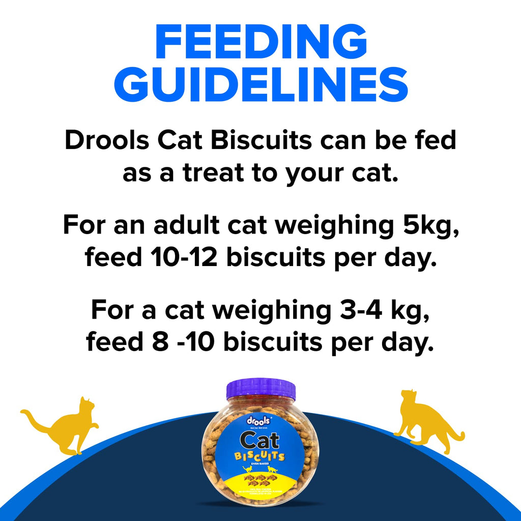Drools Adult Cat Treat Biscuits 400g Jar | Real Chicken Flavour | Encourages Activity | Supports Oral Health | Training & Discipline