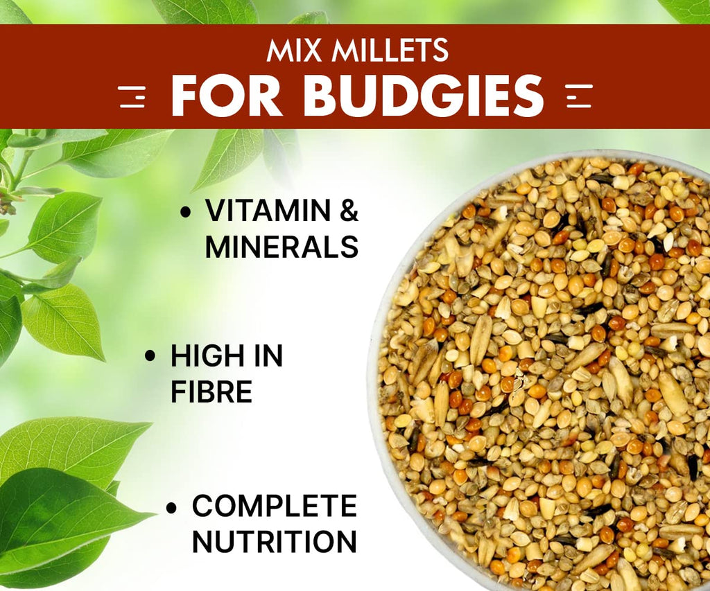 BOLTZ All Life Stages Bird Food for Budgies - Mix Seeds, Medium, 1200 g