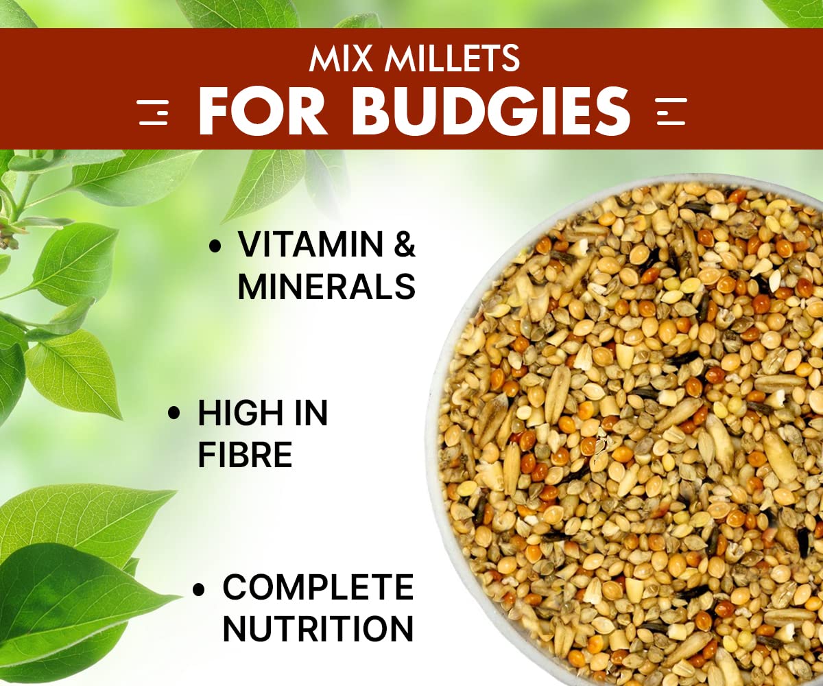 BOLTZ All Life Stages Bird Food for Budgies - Mix Seeds, Medium, 1200 g