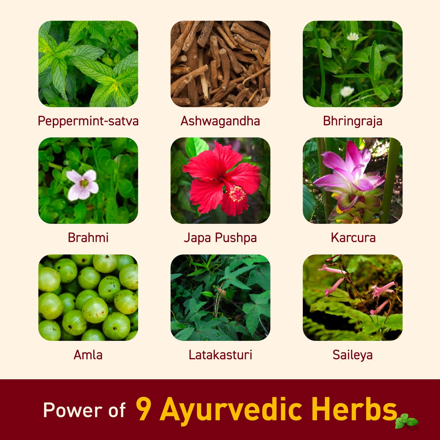 Navratna Ayurvedic Cool Oil | Combination of 9 Ayurvedic Herbs | Relieves Headache, Body ache, Tiredness, Sleeplessness & Tension| Improves Scalp Health | Relaxing & Rejuvenating cooling effect, 300ml