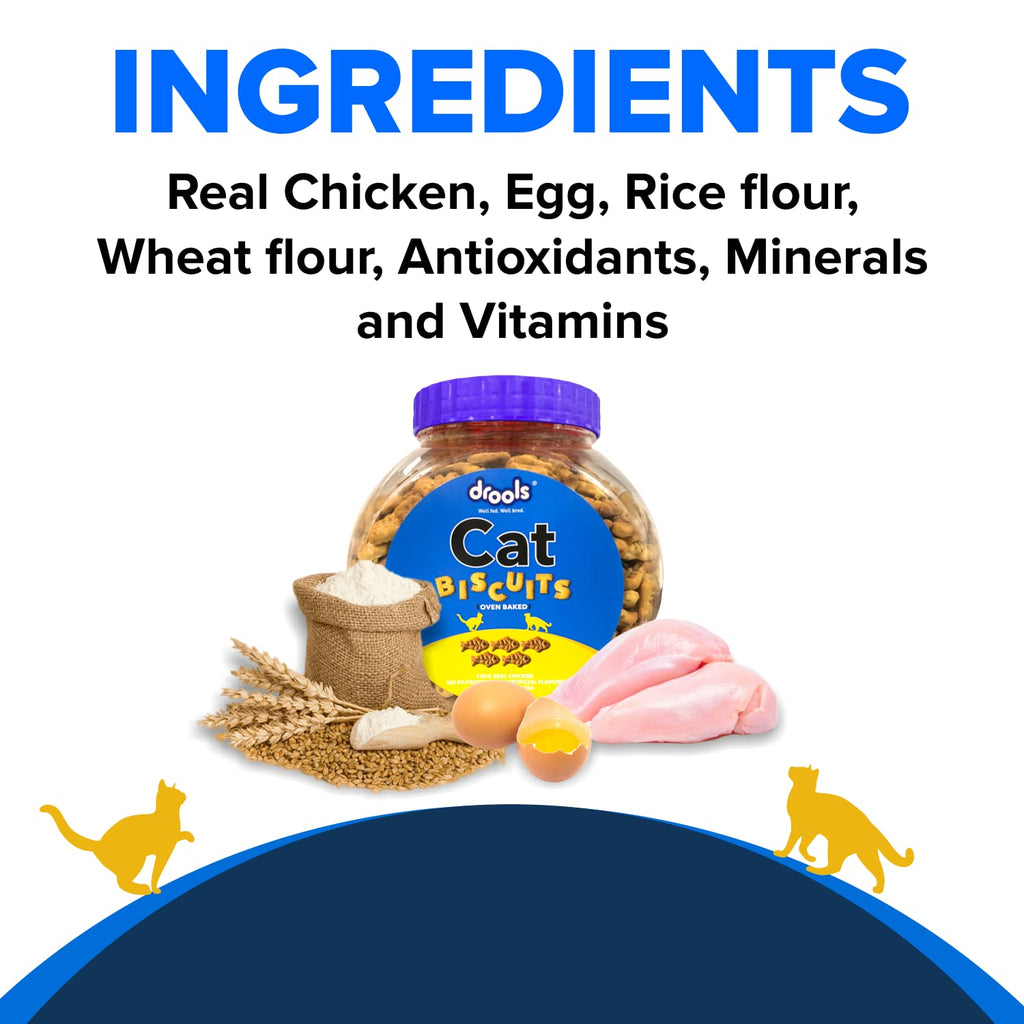 Drools Adult Cat Treat Biscuits 400g Jar | Real Chicken Flavour | Encourages Activity | Supports Oral Health | Training & Discipline