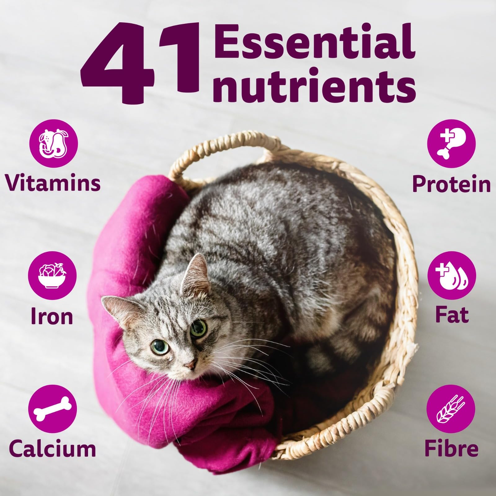 Whiskas Adult (1+ Years) Dry Cat Food, Ocean Fish Flavour, 3 kg, Contains 41 Essential Nutrients, Complete & Balanced Nutrition for Adult Cats
