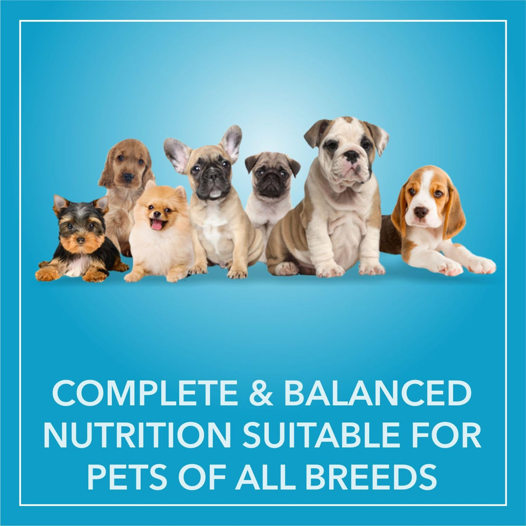 Purepet Puppy Dry Dog Food 9kg | Chicken & Vegetable Flavour | Promotes Health & Vitality | Immune Support | Healthy Digestion | Nutrient Rich