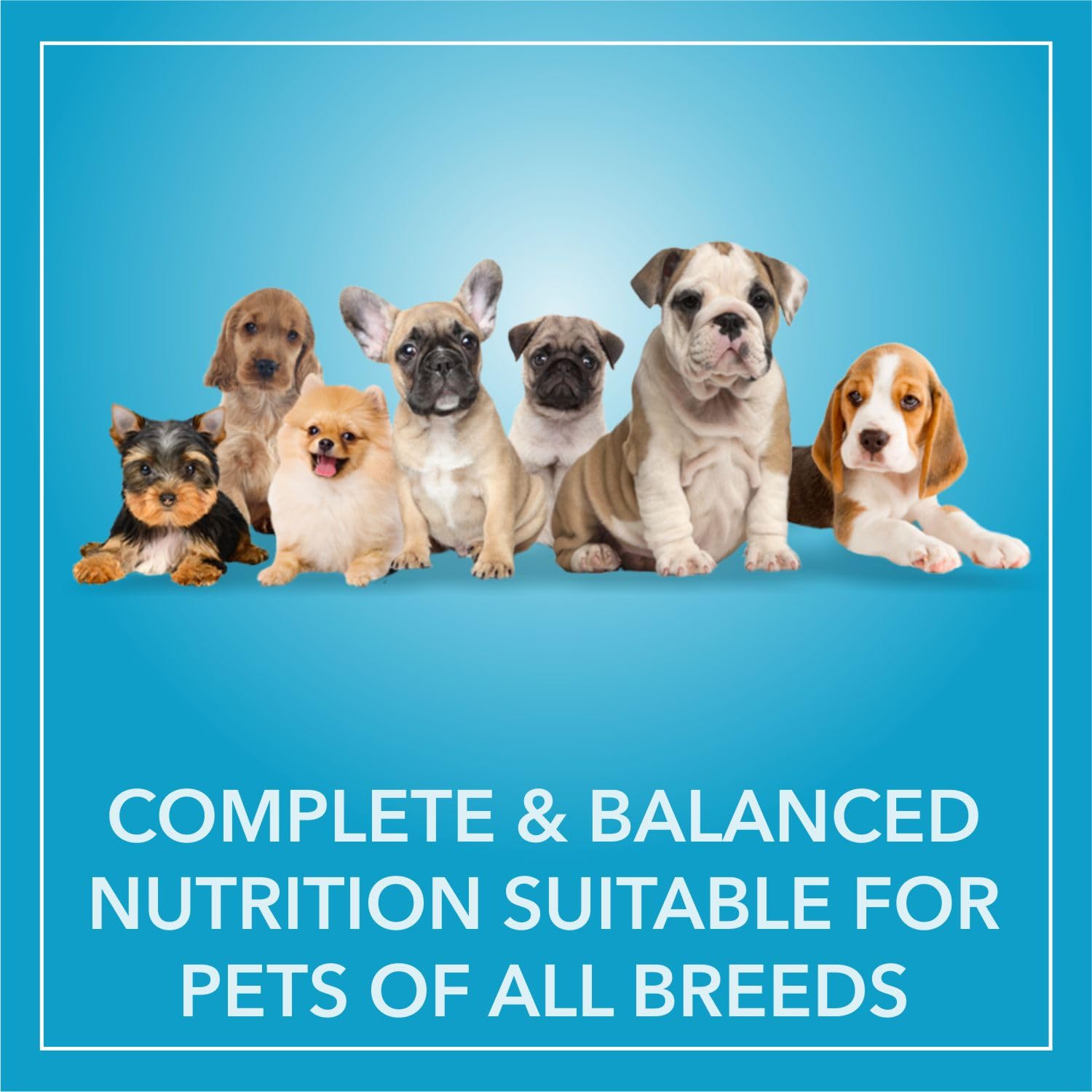 Purepet Puppy Dry Dog Food 9kg | Chicken & Vegetable Flavour | Promotes Health & Vitality | Immune Support | Healthy Digestion | Nutrient Rich