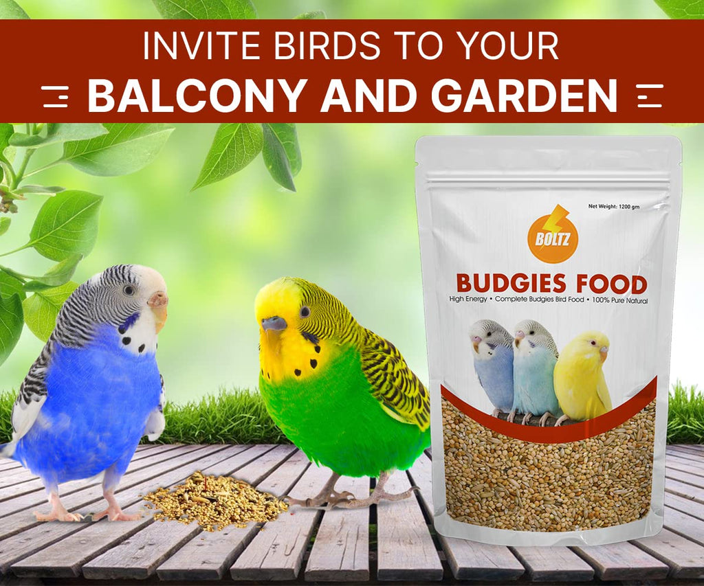 BOLTZ All Life Stages Bird Food for Budgies - Mix Seeds, Medium, 1200 g