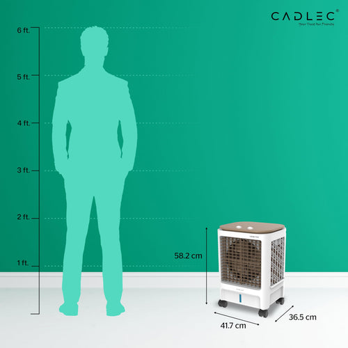 Cadlec AeroMini 20L Personal Air Cooler For Home, High Speed Fan with Powerful Air Throw, Inverter Compatible, Anti-Bacteria Honeycomb Pad, 3 Year Warranty | White