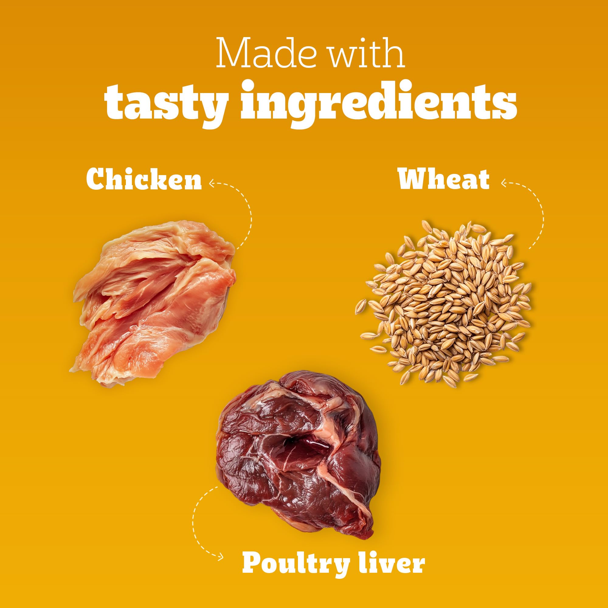 Pedigree Tasty Jerky Dog Treat, Chicken Flavour, 70g Jerky-style Treats for Bonding, Low-fat and Rich-protein* Dog Treat