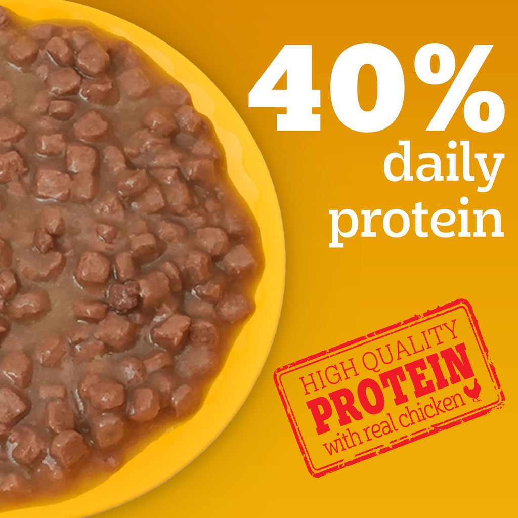 Pedigree Puppy Wet Dog Food, Chicken Chunks in Gravy, 130 g (Pack of 12), Complete & Balanced Meal for Puppies
