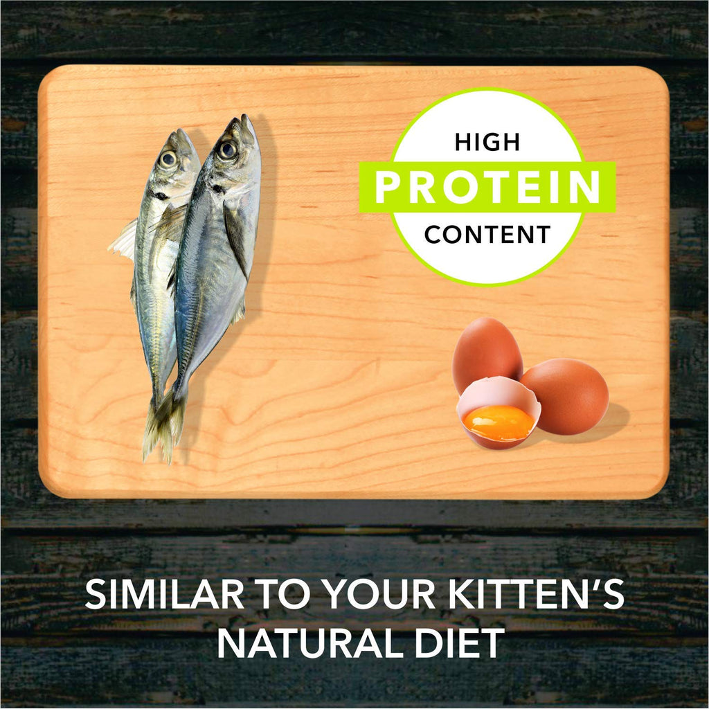 Meat Up Kitten Dry Cat Food (Up to 12 Months) 1.2kg + 1.2kg (Total 2.4kg Pack) | Ocean Fish Flavour | Complete Nutrition | Taurine for Heart