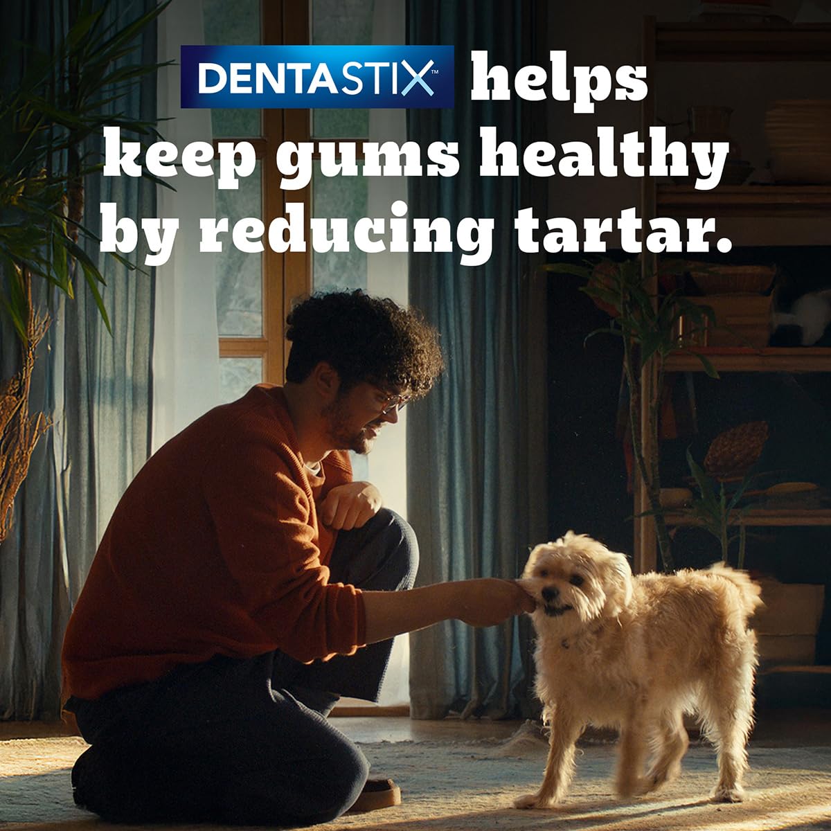Pedigree Dentastix Oral Care Dog Treat, Adult Large Breed (25+ kg), 1.08 kg, Recommended by Vets, Supports Gum Health, Reduces Risk of Gum diseases