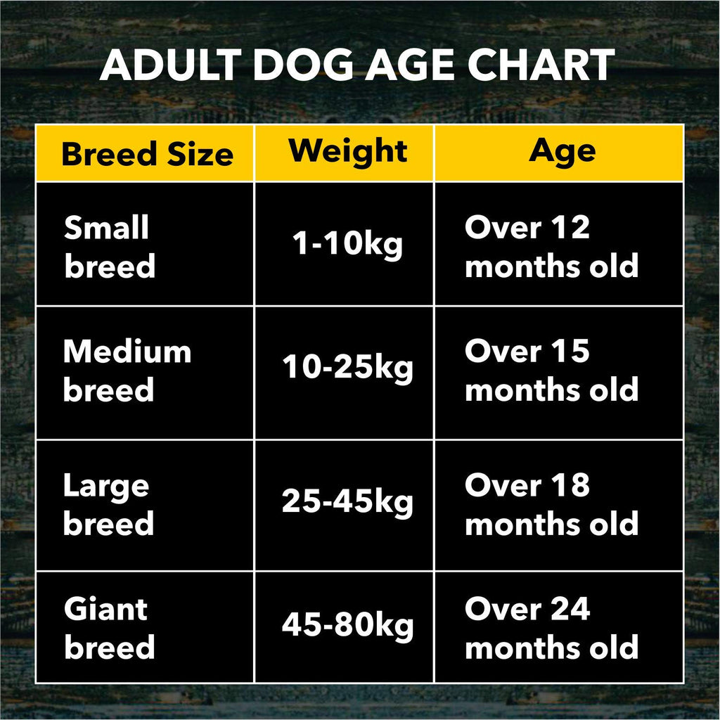 Meat Up Adult Dry Dog Food 6kg (3kg + 3kg) | Chicken Flavour | Glucosamine for Healthy Joints & Bones | Enriched with Vitamins & Minerals | Supports Digestive Health