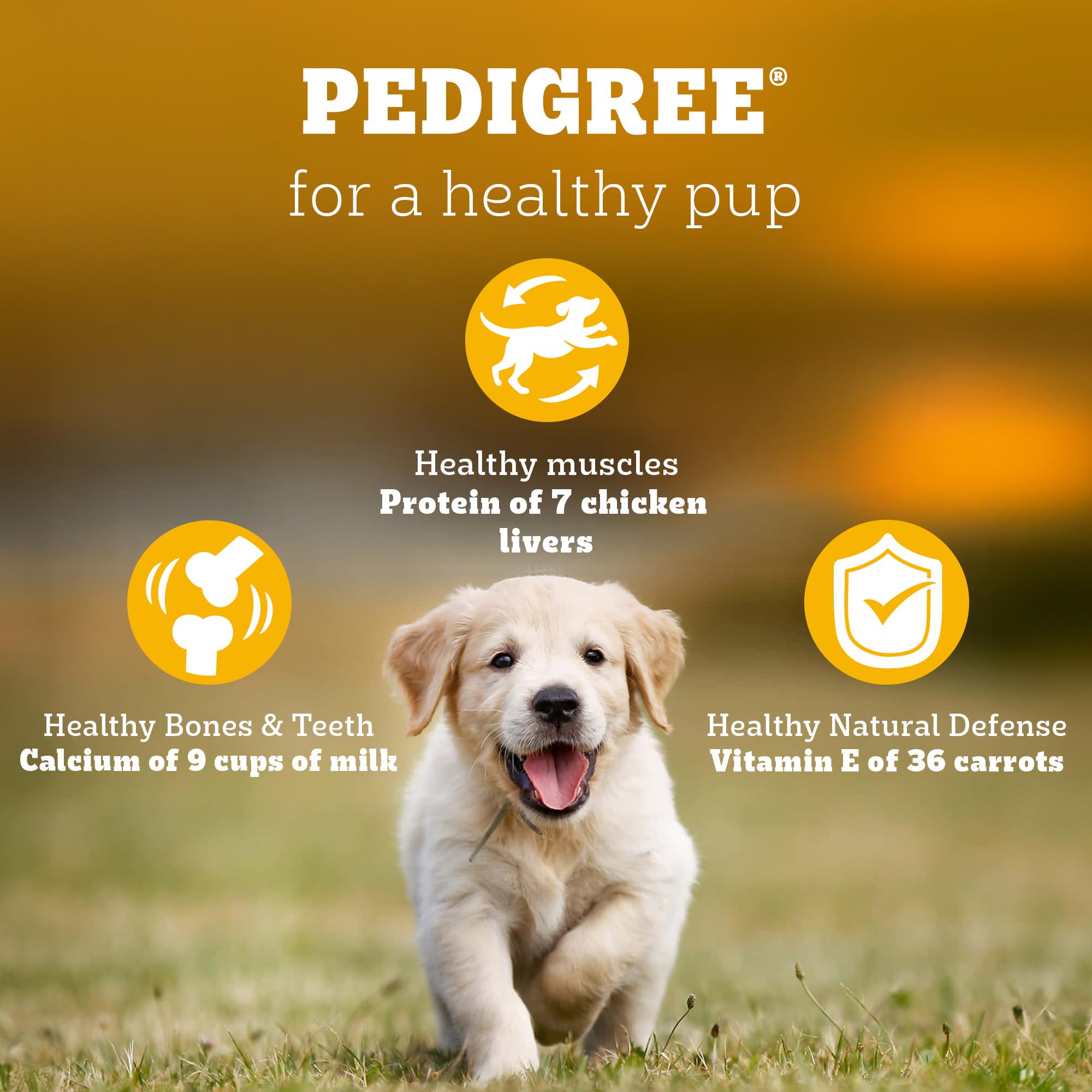 Pedigree Puppy Dry Dog Food, Chicken & Milk, 3 kg, Contains 37 Essential Nutrients, 100% Complete & Balanced Food for Puppies