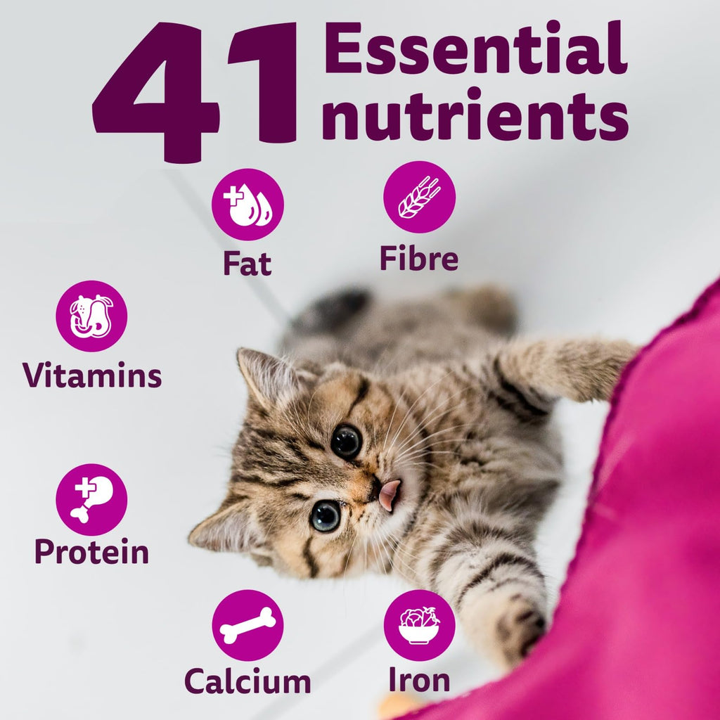 Whiskas Junior Mother Cat & Kitten (2-12 Months) Dry Cat Food, Ocean Fish Flavour, 1.1 kg, Contains 41 Essential Nutrients, Complete & Balanced Nutrition for Mother Cats & Kittens