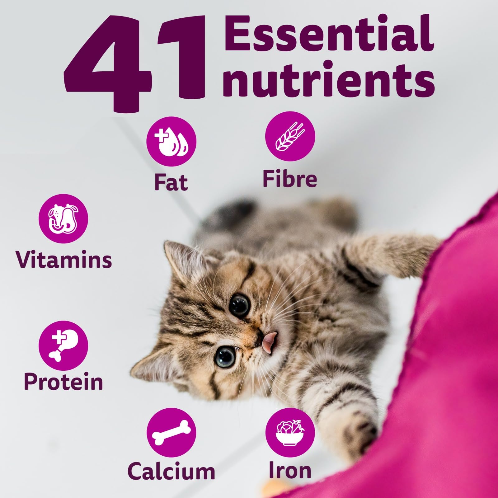 Whiskas Junior Mother Cat & Kitten (2-12 Months) Dry Cat Food, Ocean Fish Flavour, 1.1 kg, Contains 41 Essential Nutrients, Complete & Balanced Nutrition for Mother Cats & Kittens