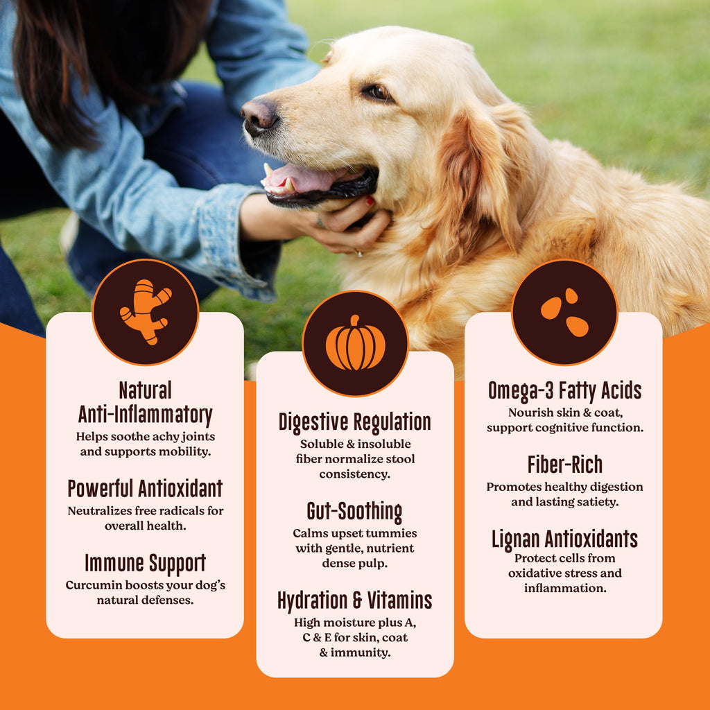 Kennel Kitchen All Life Stages Soft Baked Chicken Stick Treats for Dogs, 100g (Pack of 1)