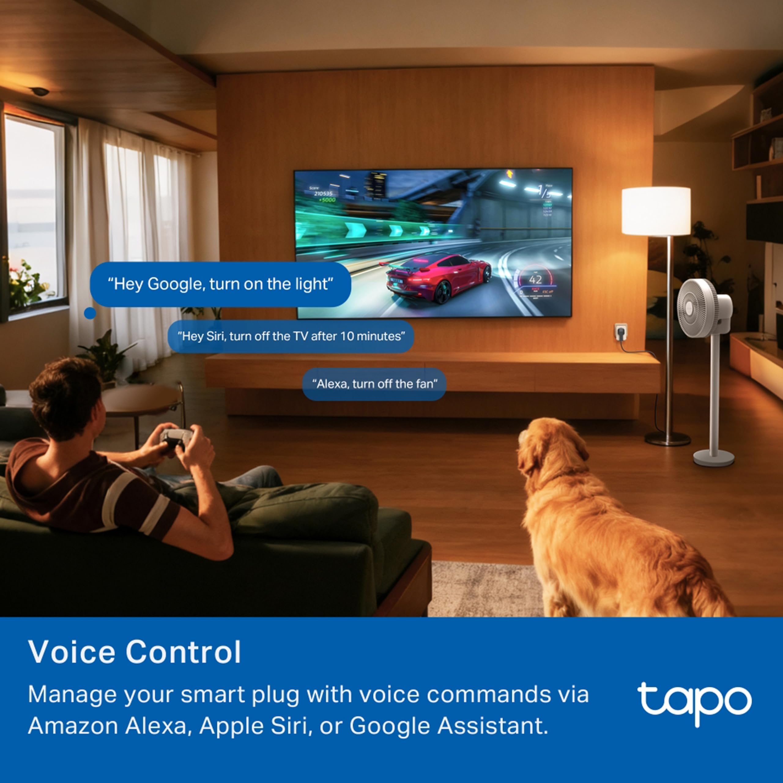 Tapo P116M 6A Mini Wi-Fi Smart Plug, Energy Monitoring & 4-Way Safety Protection | Compatible with Alexa, Google Home, Apple Home, Samsung SmartThings via Matter | Ideal for Small Appliances