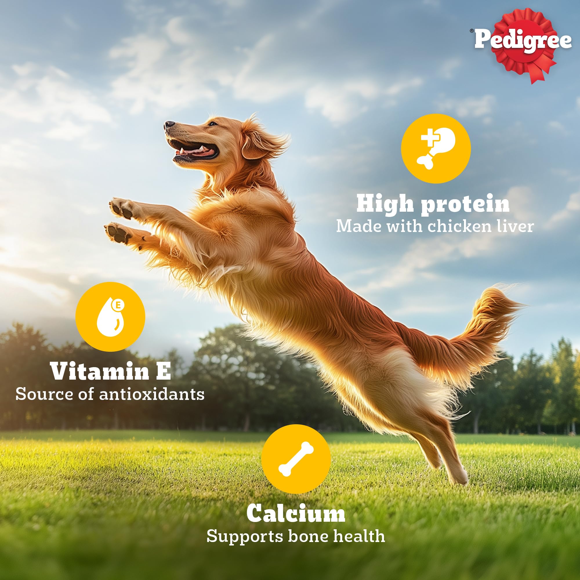 Pedigree Tasty Jerky Dog Treat, Chicken Flavour, 70g Jerky-style Treats for Bonding, Low-fat and Rich-protein* Dog Treat