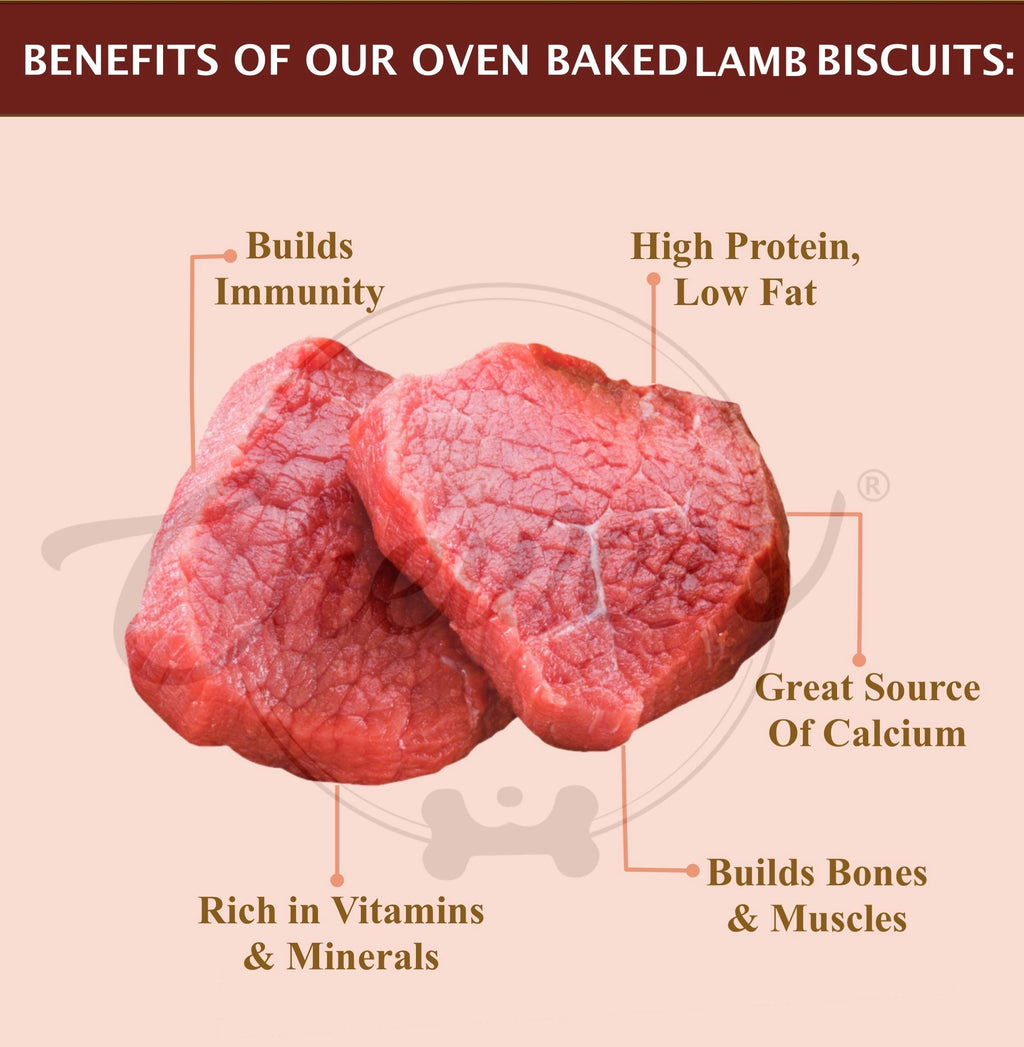 chewers Adult Oven Baked Real Mutton Dog Biscuits, Lamb, Dog Treat 1 Kg