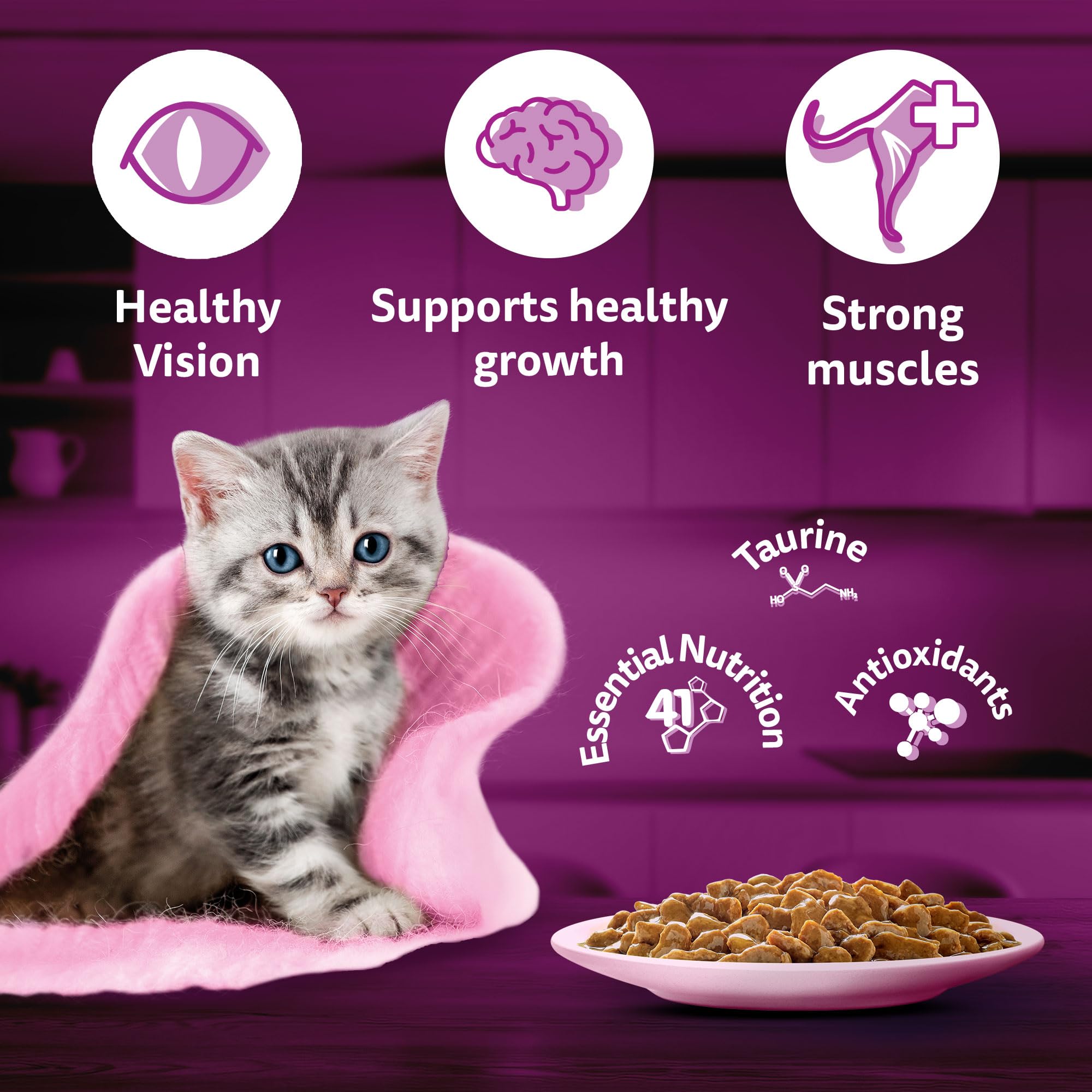Whiskas Junior Kitten (2-12 Months) Wet Cat Food, Chicken in Gravy, 80 g (Pack of 14), Hydrating Food Made With Real Chicken, 100% Complete & Balanced Nutrition for Kittens