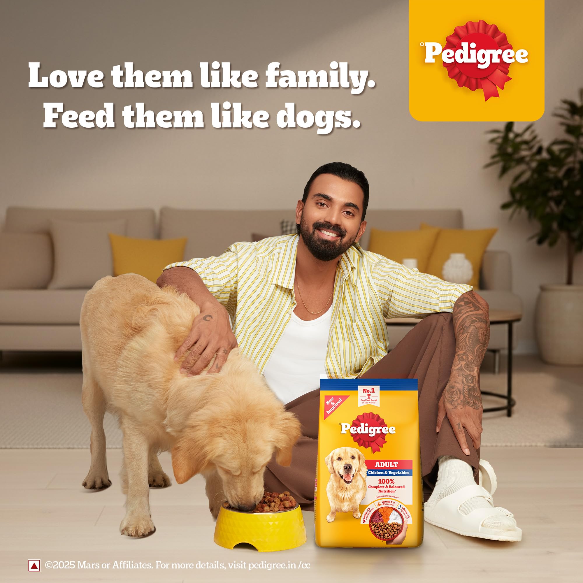Pedigree Adult Dry Dog Food, Chicken & Vegetables, 3 kg, Contains 37 Essential Nutrients, 100% Complete & Balanced Food for Adult Dogs