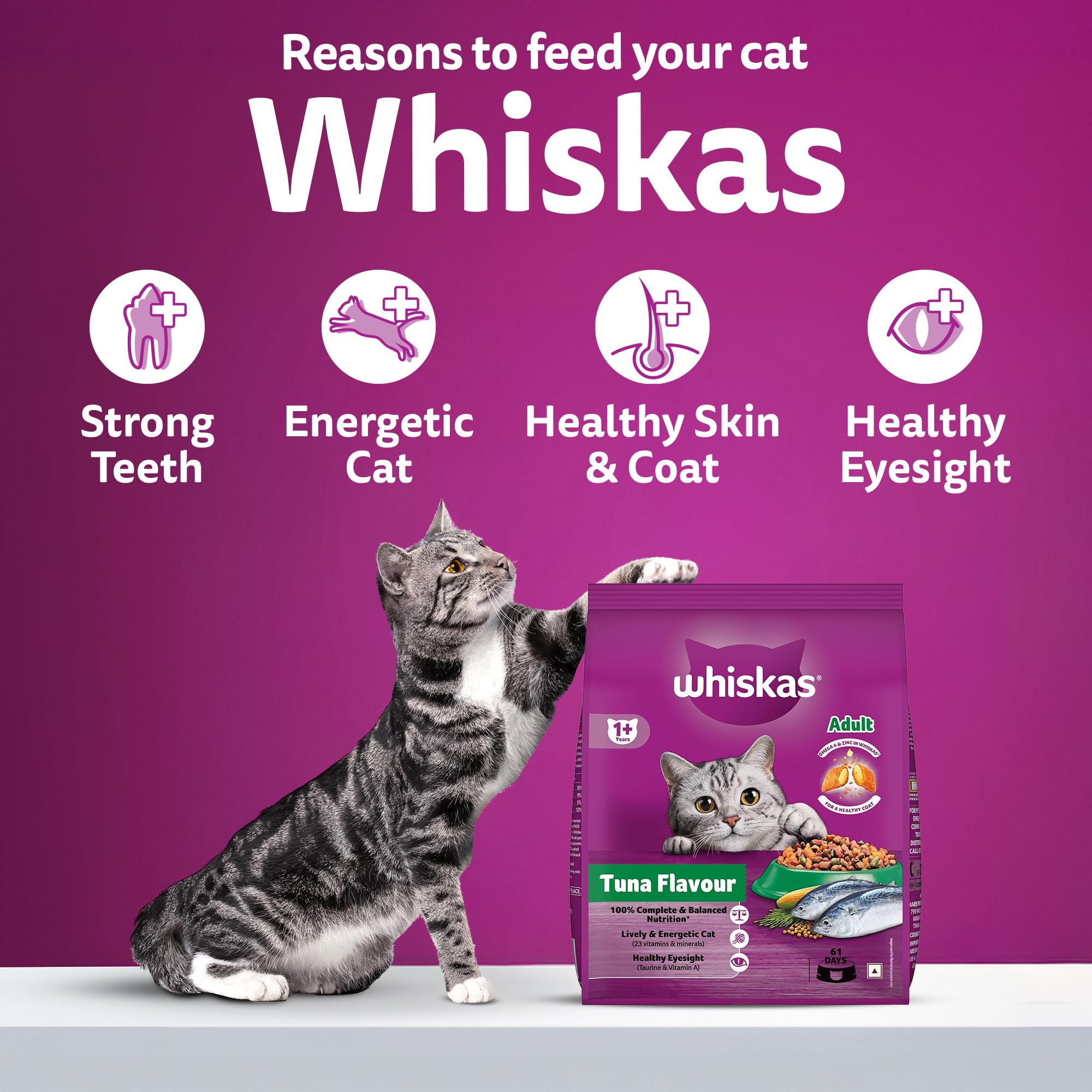 Whiskas Adult (1+ Years) Dry Cat Food, Tuna Flavour, 3 kg, Contains 41 Essential Nutrients, Complete & Balanced Nutrition for Adult Cats